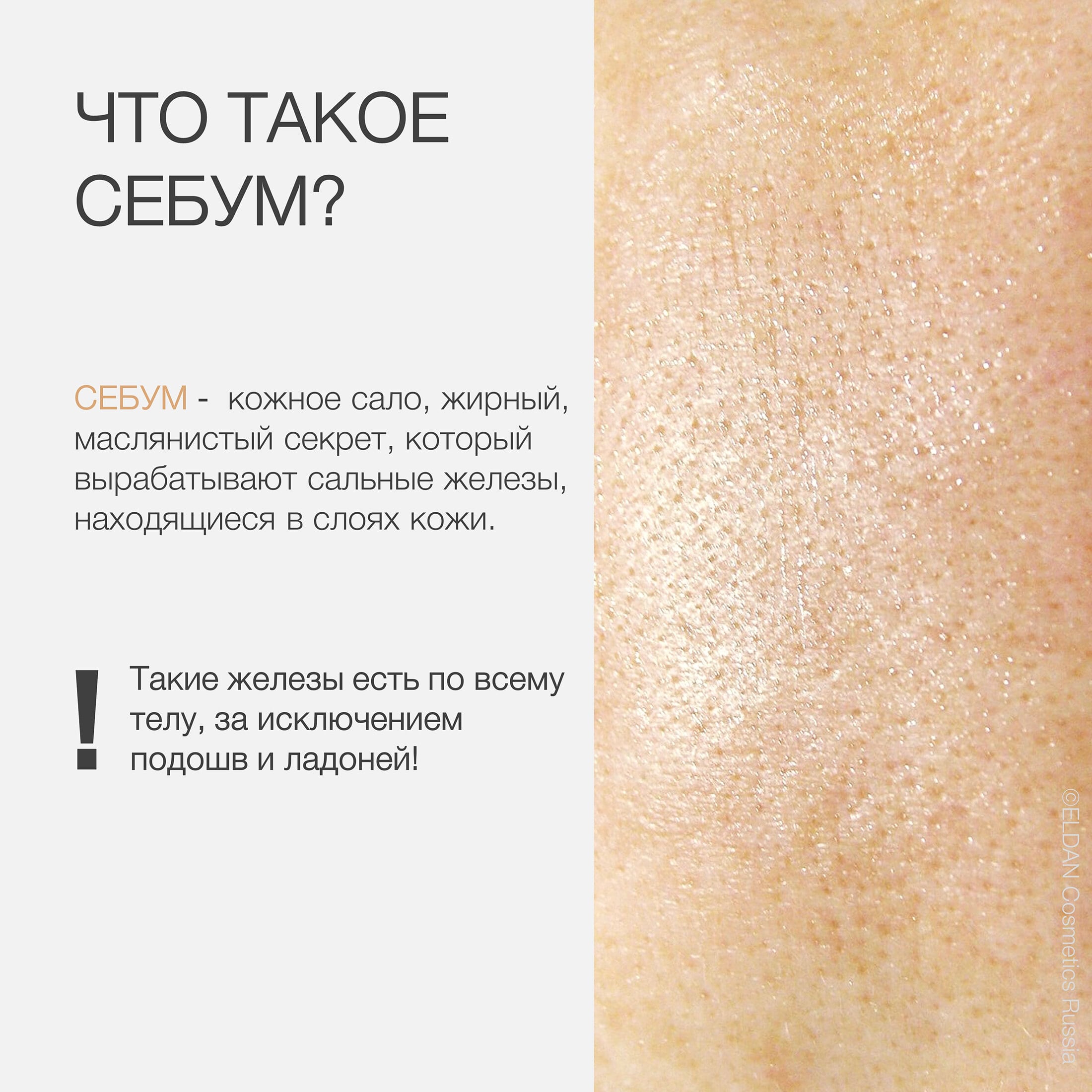 Пост себум2.jpg